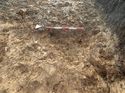 Thumbnail of Photo 261083 northwest facing section rooting [904107] taken at Hunts Green Farm