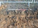 Thumbnail of Photo 261088 southwest representative facing section of trench 37 taken at Hunts green Farm