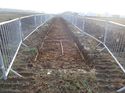 Thumbnail of Photo 261090 southeast view of trench 37 taken at Hunts green Farm