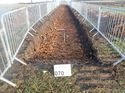 Thumbnail of Photo 261092 northeast view of trench 70 taken at Hunts green Farm