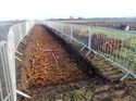 Thumbnail of Photo 261094 northeast view of trench 70 taken at Hunts green Farm