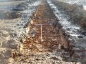 Thumbnail of Photo 261101 south view of trench 56 taken at Hunts green Farm