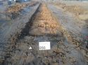 Thumbnail of Photo 261102 southeast view of trench 56 taken at Hunts green Farm