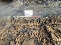 Thumbnail of Photo 261106 southwest facing representative facing section of trench 56 taken at Hunts green Farm