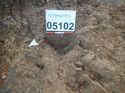 Thumbnail of Photo 261112 northwest facing section rooting [905102] taken at Hunts green Farm