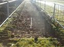 Thumbnail of Photo 271125 south view of trench 44 taken at Hunts green Farm