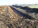 Thumbnail of Photo 271132 northeast view of trench 49 taken at Hunts Green Farm