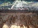 Thumbnail of Photo 271137 southwest facing representative section of trench 49 taken at Hunts Green Farm
