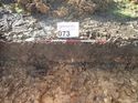 Thumbnail of Photo 271144 east facing representative section of trench 73 taken at Hunts Green Farm