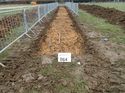 Thumbnail of Photo 271152 southeast view of trench 64 taken at Hunts Green Farm