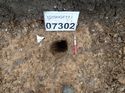 Thumbnail of Photo 271161 north facing section of pit [907302] taken at Hunts Green Farm