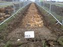 Thumbnail of Photo 271171 north view of trench 53 taken at Hunts Green Farm