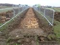 Thumbnail of Photo 271172 north view of trench 53 taken at Hunts Green Farm