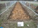 Thumbnail of Photo 271174 south view of trench 53 taken at Hunts Green Farm