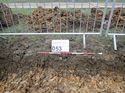 Thumbnail of Photo 271177 east facing representative section of trench 53 taken at Hunts Green Farm