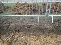 Thumbnail of Photo 271178 east facing representative section of trench 53 taken at Hunts Green Farm