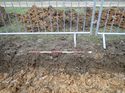 Thumbnail of Photo 271179 east facing representative section of trench 53 taken at Hunts Green Farm