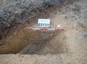 Thumbnail of Photo 301184 northeast facing section of ditch [903131] taken at Hunts Green Farm