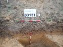 Thumbnail of Photo 301187 northeast facing section of ditch [903131] taken at Hunts Green Farm