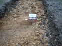 Thumbnail of Photo 301204 east facing section of rooting [904905] taken at Hunts Green Farm