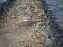 Thumbnail of Photo 301205 east facing section of rooting [904905] taken at Hunts Green Farm