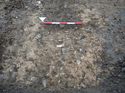 Thumbnail of Photo 301209 west facing section of ditch [904403] taken at Hunts Green Farm