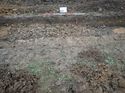Thumbnail of Photo 301212 southwest facing section of stoney deposit [902703] taken at Hunts Green Farm
