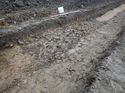 Thumbnail of Photo 301214 southwest facing section of stoney deposit [902703] taken at Hunts Green Farm