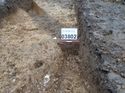 Thumbnail of Photo 301221 south facing section of ditch [903802] taken at Hunts Green Farm
