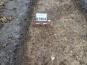 Thumbnail of Photo 301224 north facing section of ditch [903804] taken at Hunts Green Farm