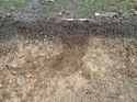 Thumbnail of Photo 301231 north facing section of ditch/rooting [903502] taken at Hunts Green Farm