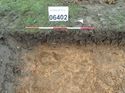 Thumbnail of Photo 301232 southeast facing section of natural deposit [906402] taken at Hunts Green Farm