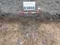 Thumbnail of Photo 301238 east facing section of rooting [903808] taken at Hunts Green Farm