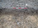Thumbnail of Photo 301239 east facing section of rooting [903808] taken at Hunts Green Farm