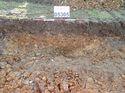 Thumbnail of Photo 011247 north facing section of natural feature [905305] taken at Hunts Green Farm