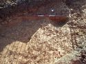 Thumbnail of Photo 011263 north facing section of natural feature [906305] taken at Hunts Green Farm