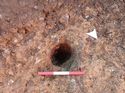 Thumbnail of Photo 011272 northeast section of burrow [907002] taken at Hunts Green Farm