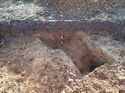 Thumbnail of Photo 011276 north facing section of rooting [907003] taken at Hunts Green Farm
