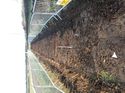 Thumbnail of Photo 011281 southeast view of trench 61 taken at Hunts Green Farm