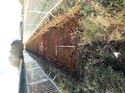 Thumbnail of Photo 011283 northwest view of trench 61 taken at Hunts Green Farm