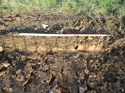 Thumbnail of Photo 011285 southwest facing representative section of trench 61 taken at Hunts Green Farm