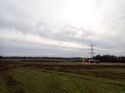 Thumbnail of Photo 021291 working shots taken at Hunts Green Farm