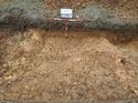 Thumbnail of Photo 021300 south facing section of ditch [907007] taken at Hunts Green Farm