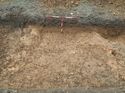 Thumbnail of Photo 021301 south facing section of ditch [907007] taken at Hunts Green Farm