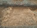 Thumbnail of Photo 021302 south facing section of ditch [907007] taken at Hunts Green Farm