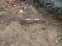 Thumbnail of Photo 021325 south facing section of rooting [906102] taken at Hunts Green Farm