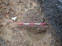Thumbnail of Photo 021360 southeast facing section of pit [905811] taken at Hunts Green Farm view 1 no board