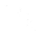 Thumbnail of Survey of Features, Post-excavation