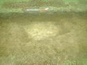 Thumbnail of Photo 051301  [212003] Furrow no board facing SE