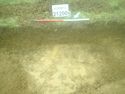 Thumbnail of Photo 051302  [212005] Furrow with board facing southeast